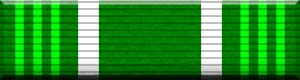 Color image representing the National Color Guard Competition Ribbon (CAP) military medal